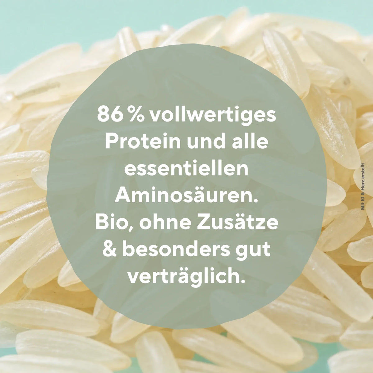 Nahaufnahme von Reiskörnern mit Text über Proteingehalt und Bio Qualität